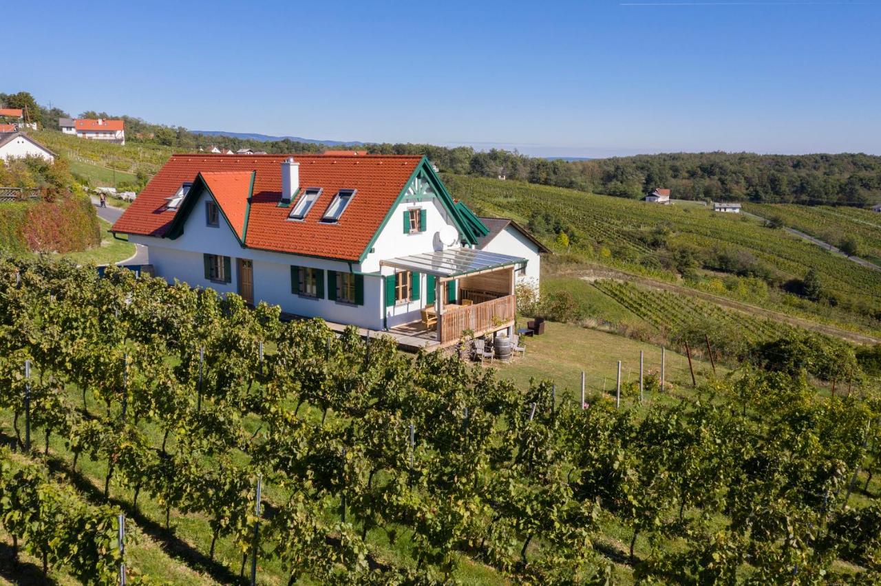 Eisenberg an der Pinka Kellerstoeckl Weinblick I Und II 빌라 외부 사진