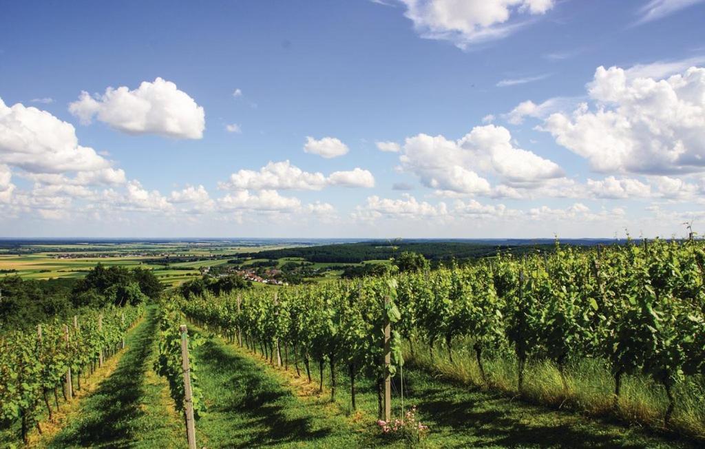 Eisenberg an der Pinka Kellerstoeckl Weinblick I Und II 빌라 외부 사진