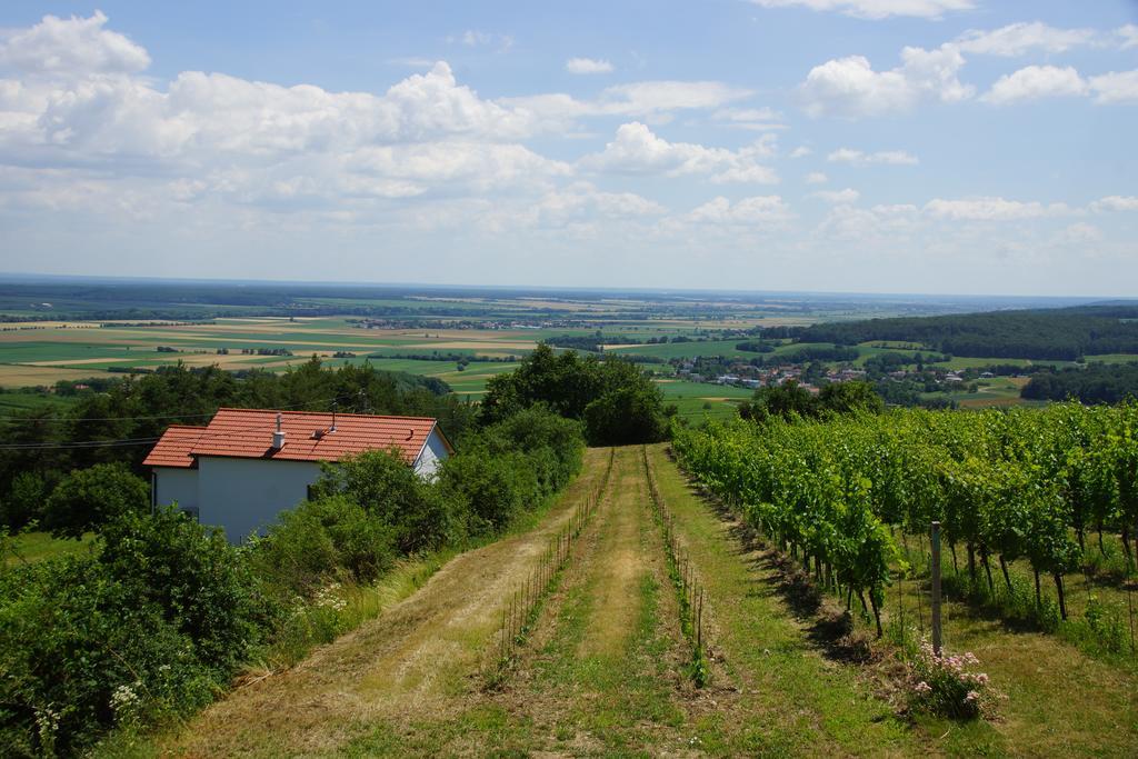 Eisenberg an der Pinka Kellerstoeckl Weinblick I Und II 빌라 외부 사진